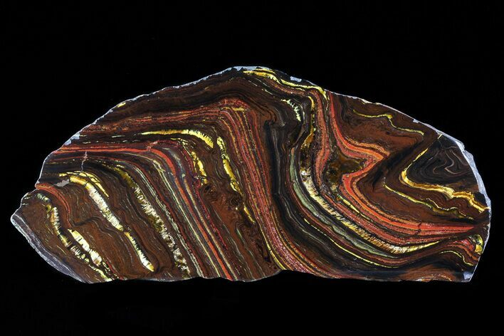 Polished Tiger Iron Stromatolite - ( Billion Years) #72900